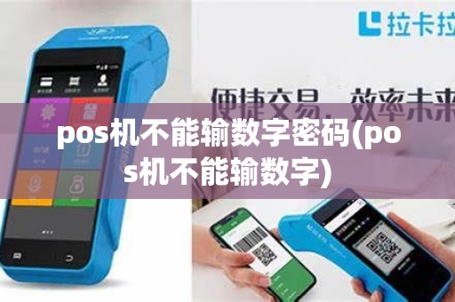 pos机不能输数字密码(pos机不能输数字)