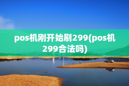 pos机刚开始刷299(pos机299合法吗)