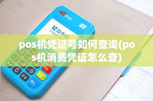 pos机凭证号如何查询(pos机消费凭证怎么查)