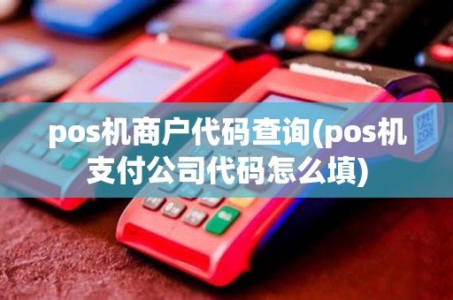 pos机商户代码查询(pos机支付公司代码怎么填)