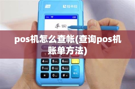 pos机怎么查帐(查询pos机账单方法)