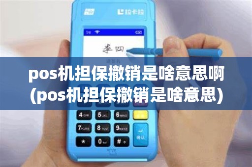 pos机担保撤销是啥意思啊(pos机担保撤销是啥意思)