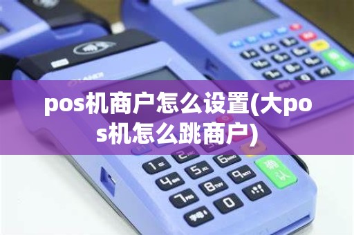 pos机商户怎么设置(大pos机怎么跳商户) pos机商户怎么设置(大pos机怎么跳商户)